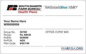Downloadable South Dakota health insurance card real example